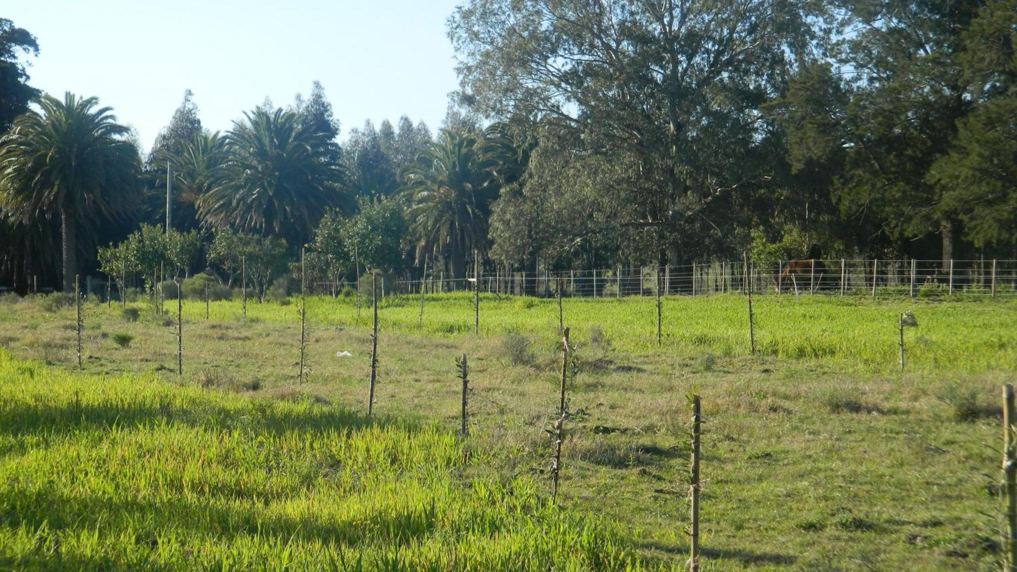 Casa De Campo Lo De Fatsia Colonia del Sacramento Bilik gambar